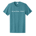 Vivid Teal Heather - PC43 - FRONT